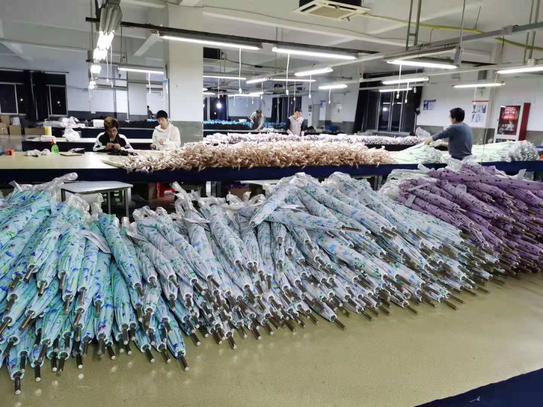 Packing floor with sleeved umbrellas laid out for inspection