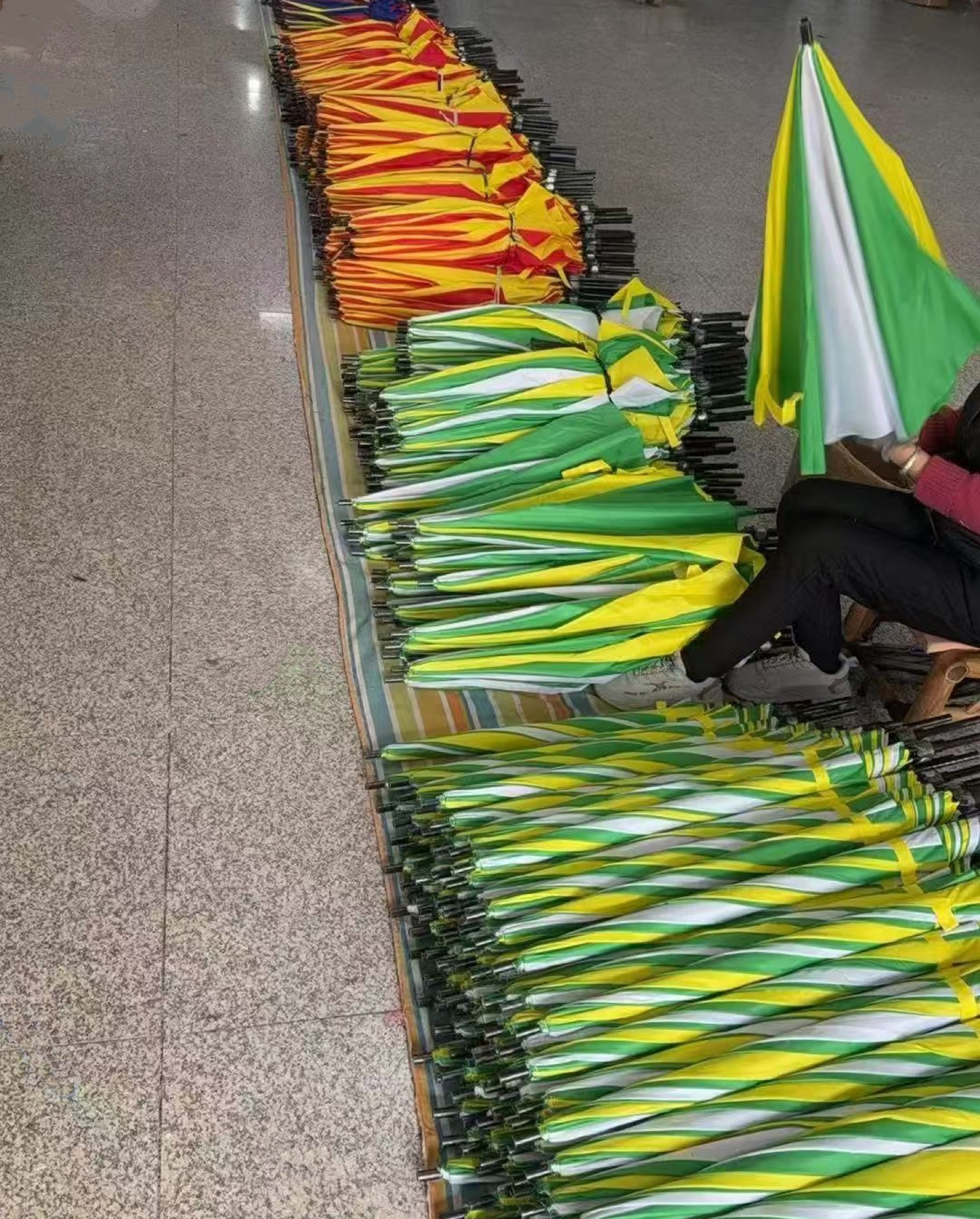 Quality check: promotional umbrellas aligned in color rows on the floor