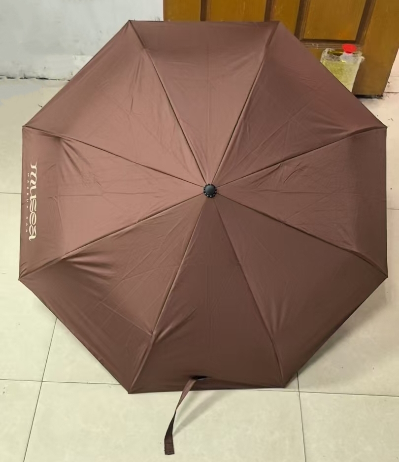 Windproof Compact Automatic Umbrella Custom with Logo — Automatic Umbrella OEM for business and corporate programs, custom logo, image 4
